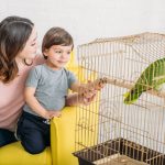 A madár tartásának előnyei és hátrányai