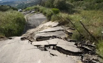 „Mely állatok érzik előre a földrengést? – megdöbbentő képességek”
