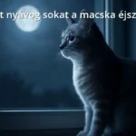 Nyugodt házimacska ül az ablakpárkányon éjszaka, holdfényben fürödve